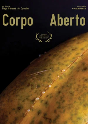 Постер: Corpo Aberto