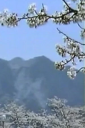Постер: Mt. Buko