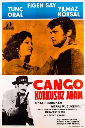 Постер: Django - Fearless Man