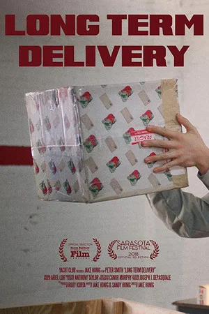 Постер: Long Term Delivery