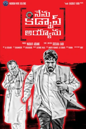 Постер: Nenu Kidnap Ayyaanu
