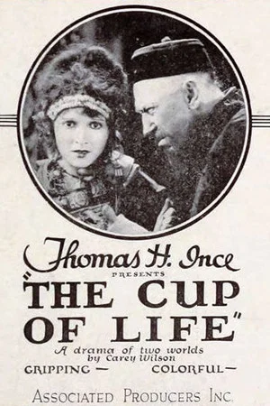 Постер: The Cup of Life