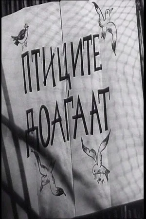 Постер: The Birds Are Coming