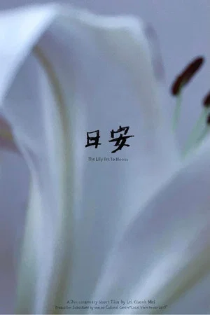Постер: The Lily Yet To Bloom