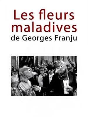 Постер: Les fleurs maladives de Georges Franju