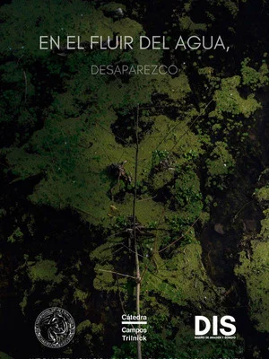 Постер: En el fluir del agua, desaparezco