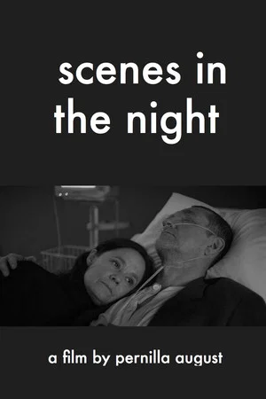 Постер: Scenes in the Night
