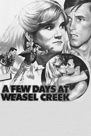 Постер: A Few Days at Weasel Creek