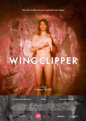 Постер: Wingclipper