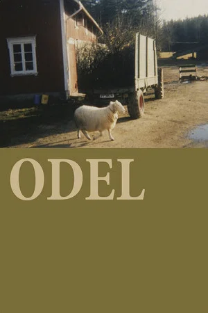 Постер: The Odelsrett