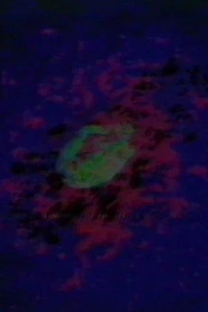 Постер: Circling