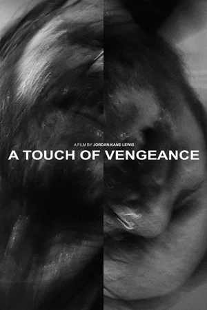 Постер: A Touch of Vengeance