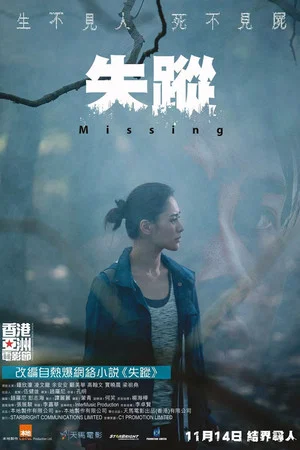 Постер: Missing