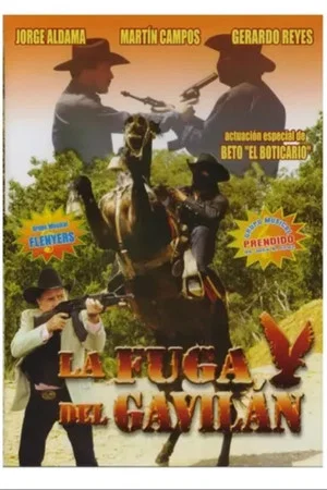 Постер: La Fuga Del Gavilan