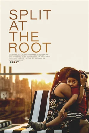 Постер: Split at the Root