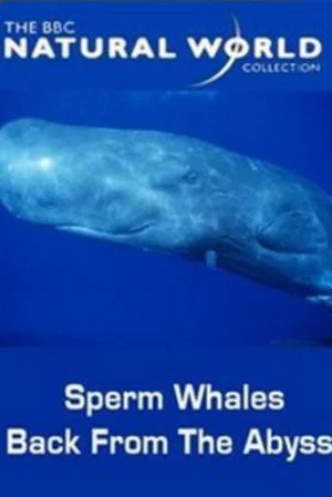 Постер: Sperm Whales: Back from the Abyss