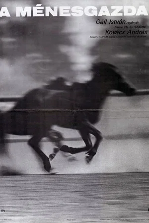 Постер: The Stud Farm