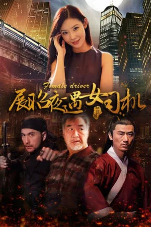 Постер: 展昭夜遇女司机