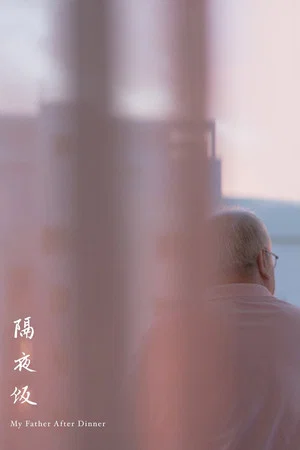 Постер: My Father After Dinner