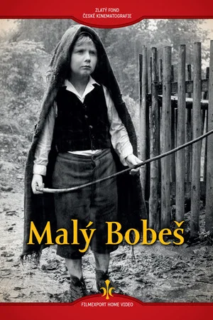 Постер: Little Bobesh