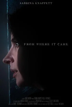 Постер: From Where It Came