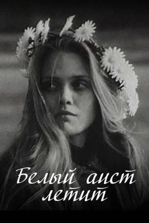 Постер: Белый аист летит