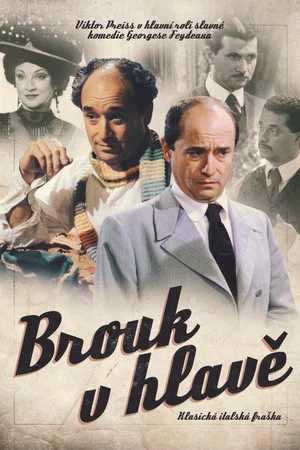 Постер: Brouk v hlavě