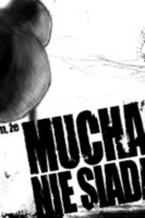 Постер: Film, że mucha nie siada