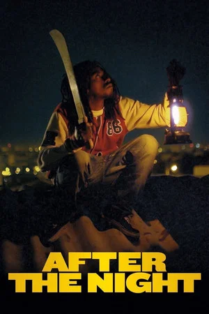 Постер: After the Light