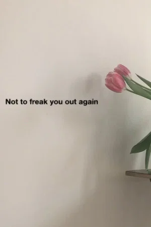 Постер: Not to freak you out again
