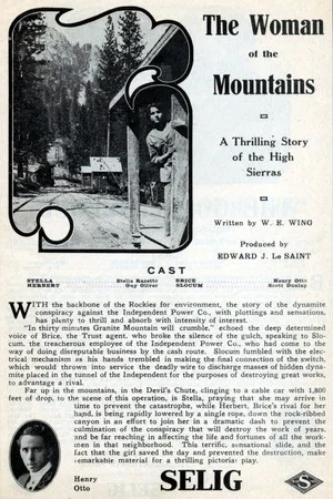 Постер: The Woman of the Mountains