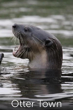 Постер: Otter Town