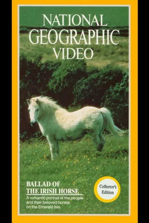 Постер: Ballad of the Irish Horse
