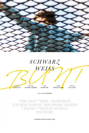 Постер: Schwarz Weiss Bunt