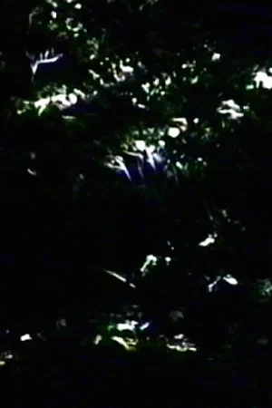 Постер: The Darkening