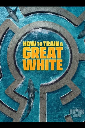 Постер: How to Train a Great White