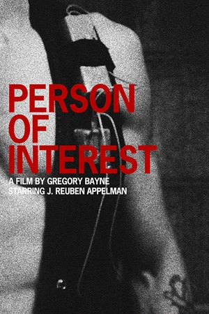 Постер: Person of Interest