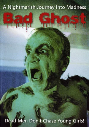 Постер: Bad Ghost