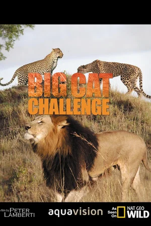 Постер: Big Cat Challenge