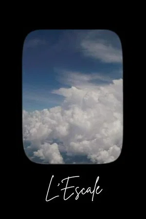 Постер: The Stopover