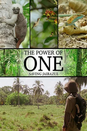 Постер: The Power of One