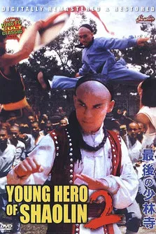 Постер: The Young Hero of Shaolin II