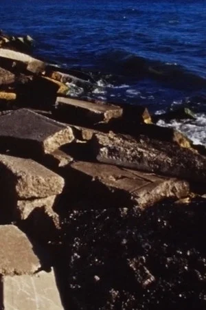 Постер: Low Tide