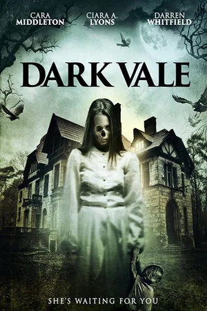Постер: Dark Vale