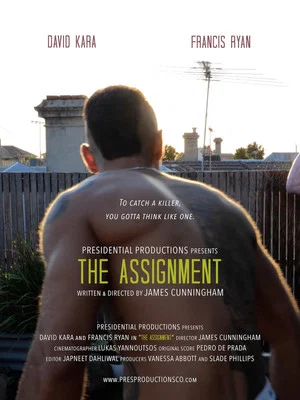 Постер: The Assignment