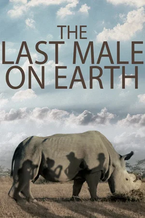 Постер: The Last Male on Earth