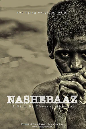 Постер: Nashebaaz