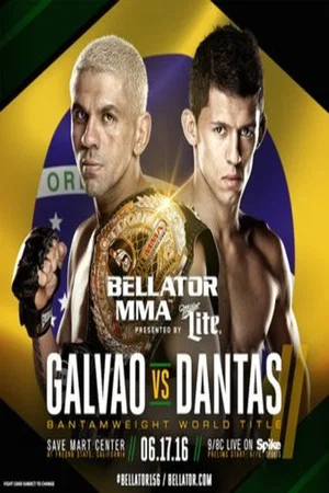 Постер: Bellator 156: Galvao vs. Dantas 2