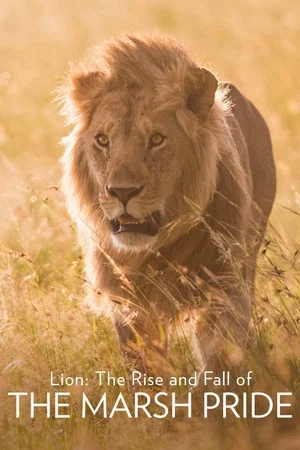 Постер: Lion: The Rise and Fall of the Marsh Pride