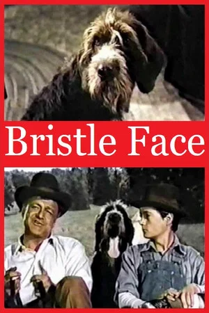 Постер: Bristle Face